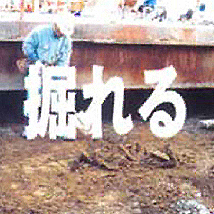 掘れる